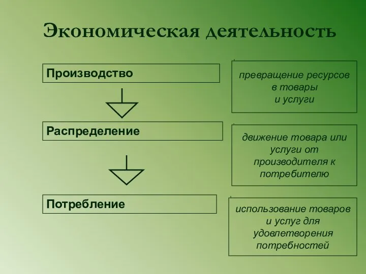 Экономическая деятельность Производство Распределение Потребление движение товара или услуги от производителя