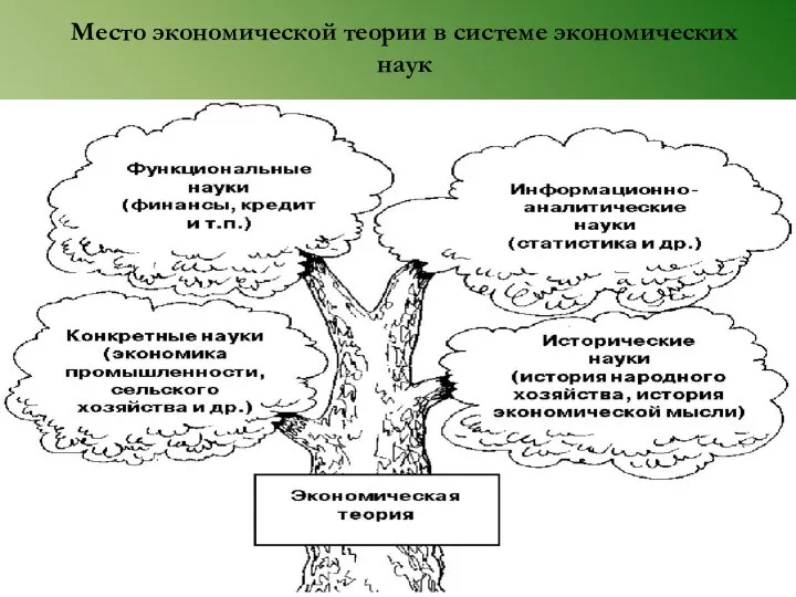 Место экономической теории в системе экономических наук