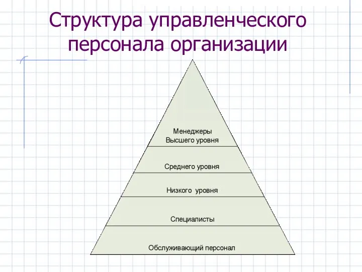 Структура управленческого персонала организации