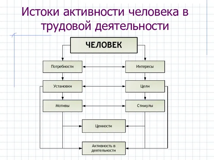 Истоки активности человека в трудовой деятельности