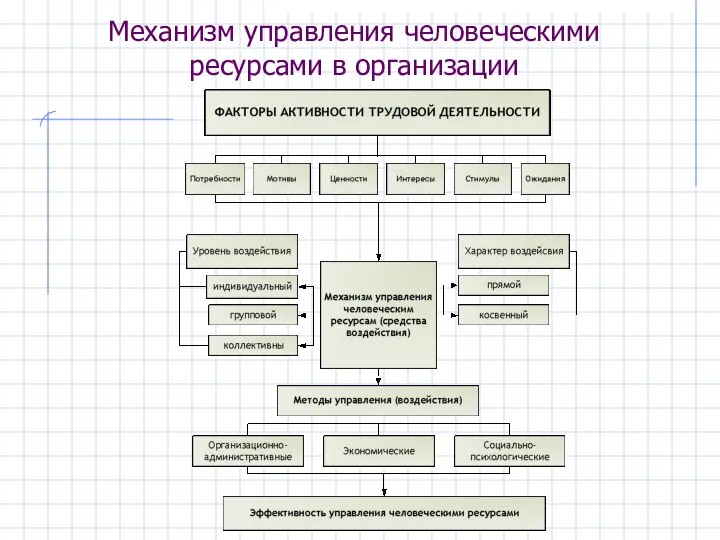 Механизм управления человеческими ресурсами в организации