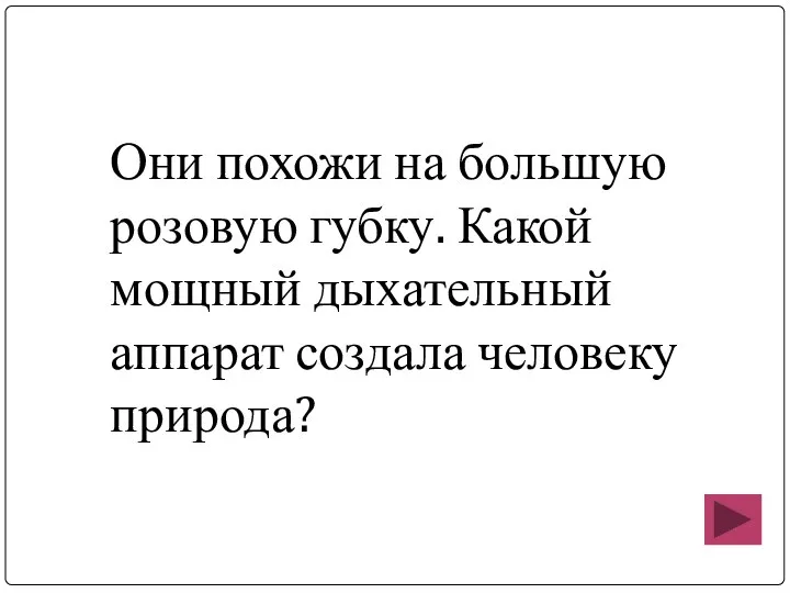 Они похожи на большую розовую губку. Какой мощный дыхательный аппарат создала человеку природа?