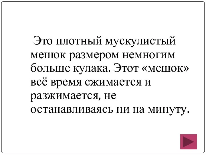 Это плотный мускулистый мешок размером немногим больше кулака. Этот «мешок» всё