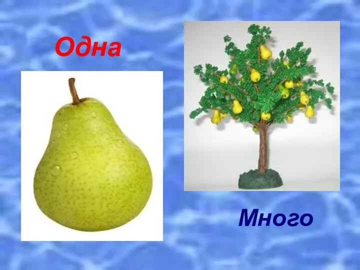 Одна Много