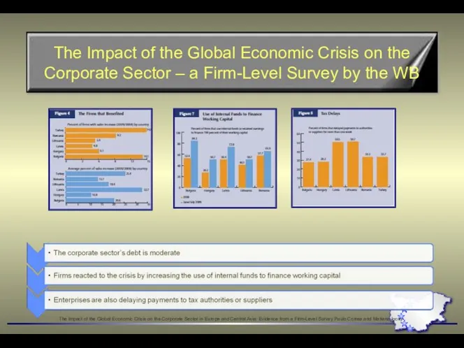 The Impact of the Global Economic Crisis on the Corporate Sector