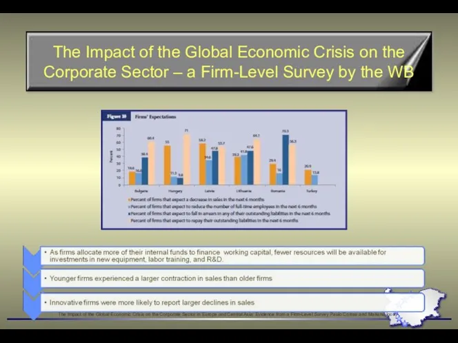 The Impact of the Global Economic Crisis on the Corporate Sector