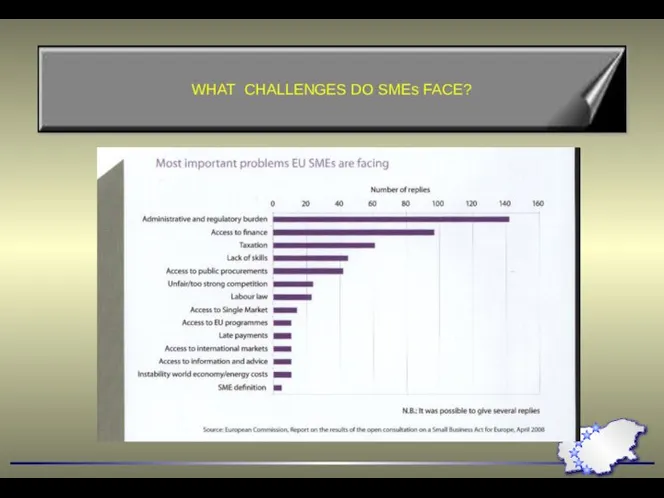 WHAT CHALLENGES DO SMEs FACE?
