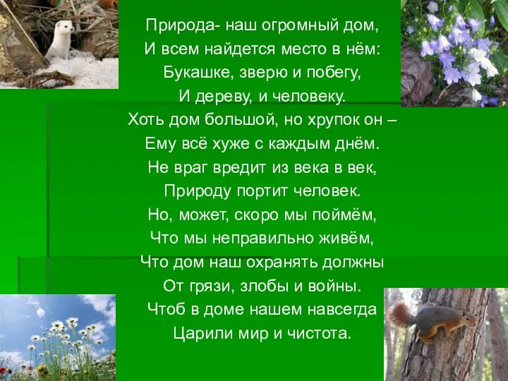 Природа- наш огромный дом, И всем найдется место в нём: Букашке,