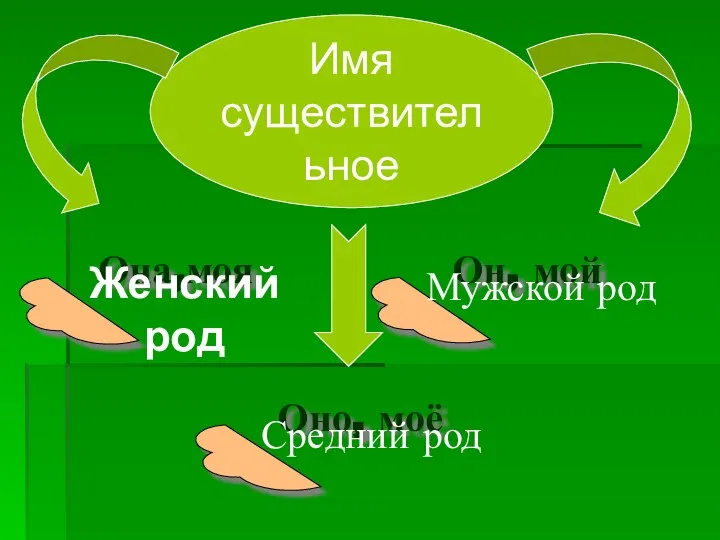 Имя существительное Она,моя Он, мой Оно, моё Женский род Мужской род Средний род