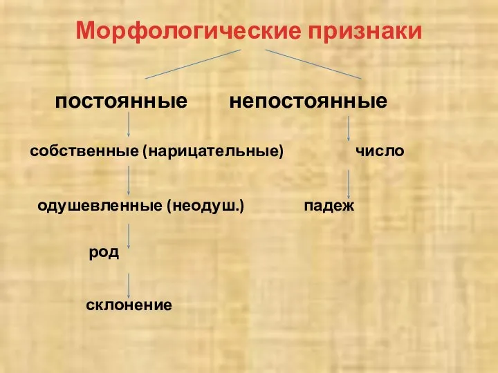 Морфологические признаки постоянные непостоянные собственные (нарицательные) число одушевленные (неодуш.) падеж род склонение