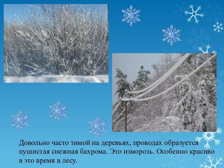 Довольно часто зимой на деревьях, проводах образуется пушистая снежная бахрома. Это