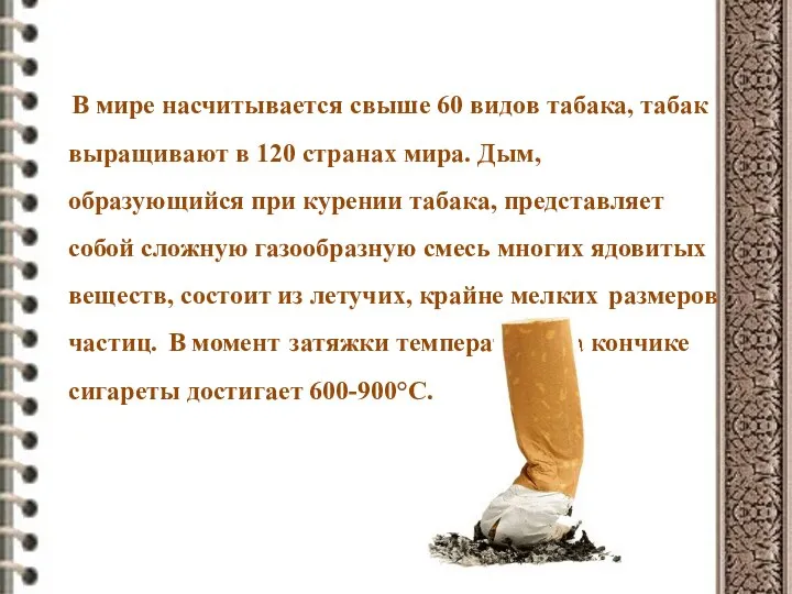 В мире насчитывается свыше 60 видов табака, табак выращивают в 120
