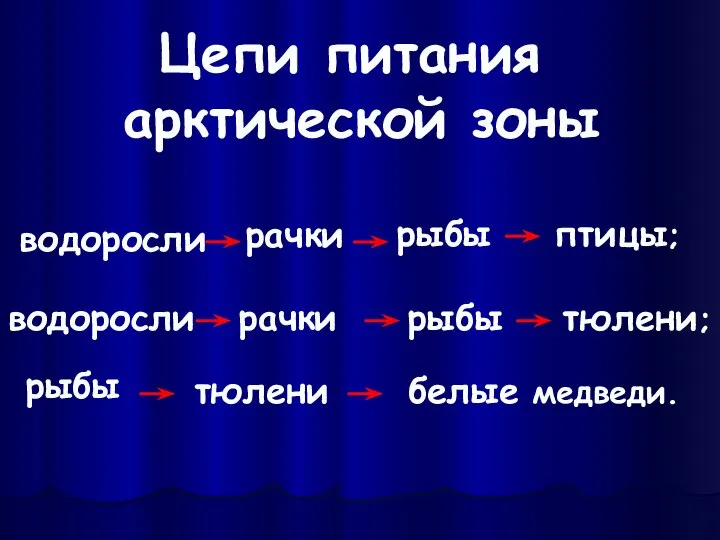 Цепи питания арктической зоны водоросли водоросли рачки рачки рыбы рыбы рыбы тюлени тюлени; птицы; белые медведи.