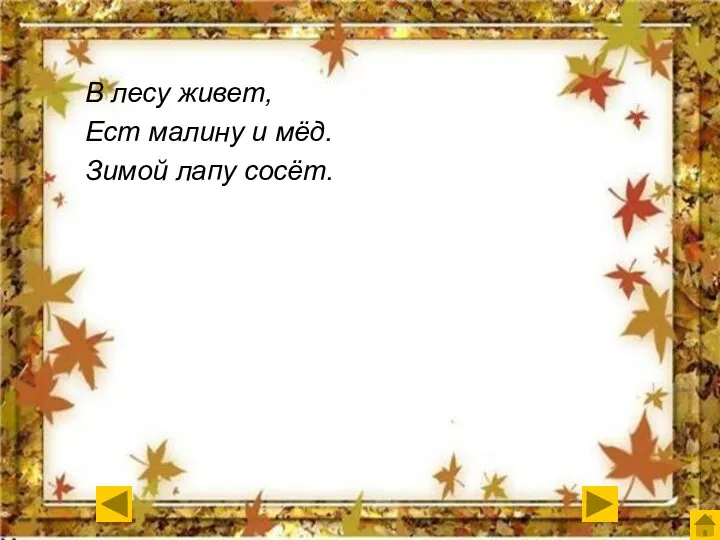 В лесу живет, Ест малину и мёд. Зимой лапу сосёт.