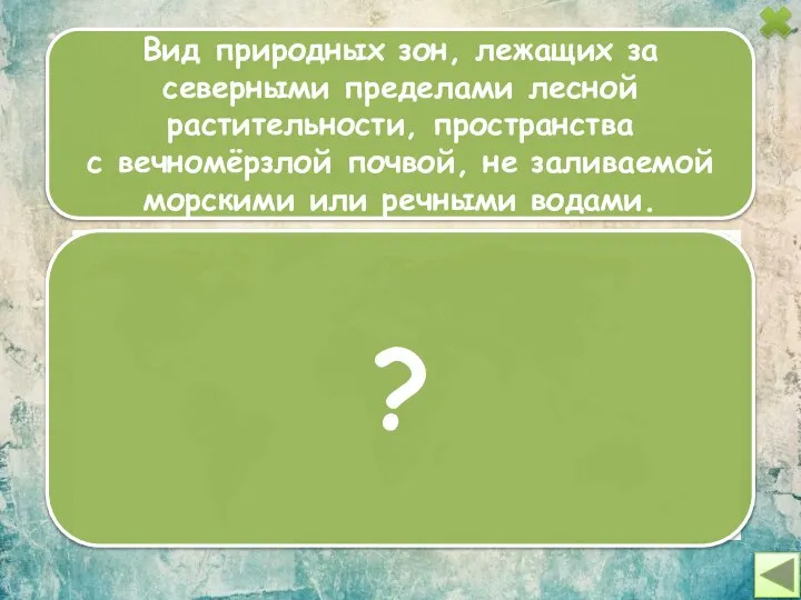 Вид природных зон, лежащих за северными пределами лесной растительности, пространства с