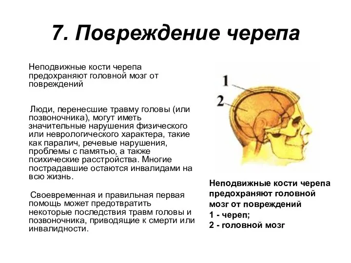 7. Повреждение черепа Неподвижные кости черепа предохраняют головной мозг от повреждений