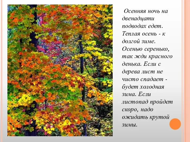 Осенняя ночь на двенадцати подводах едет. Теплая осень - к долгой