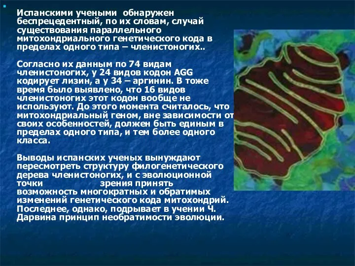 Испанскими учеными обнаружен беспрецедентный, по их словам, случай существования параллельного митохондриального