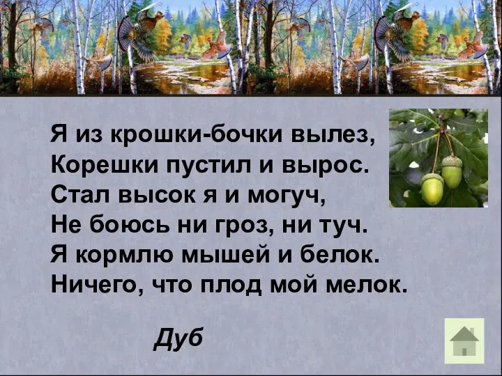 Я из крошки-бочки вылез, Корешки пустил и вырос. Стал высок я