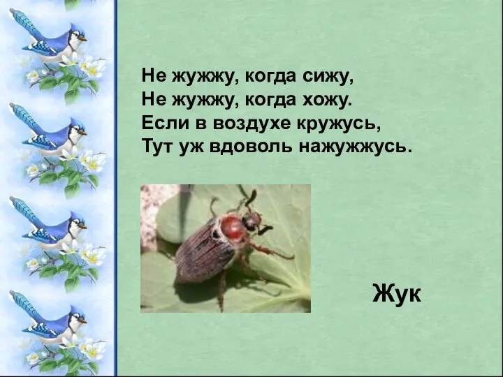 Не жужжу, когда сижу, Не жужжу, когда хожу. Если в воздухе