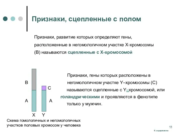 Признаки, сцепленные с полом Признаки, гены которых расположены в негомологичном участке