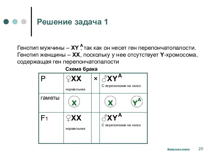 Решение задача 1 Генотип мужчины – ХY , так как он