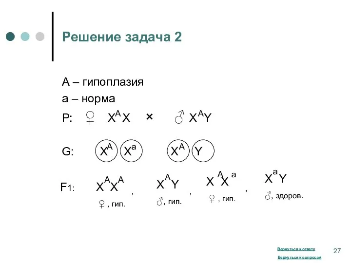 Решение задача 2 А – гипоплазия а – норма Р: ♀