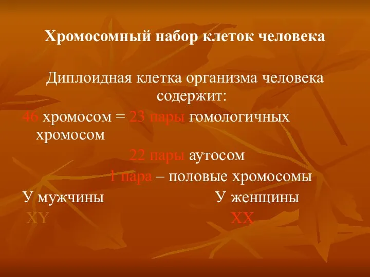 Хромосомный набор клеток человека Диплоидная клетка организма человека содержит: 46 хромосом