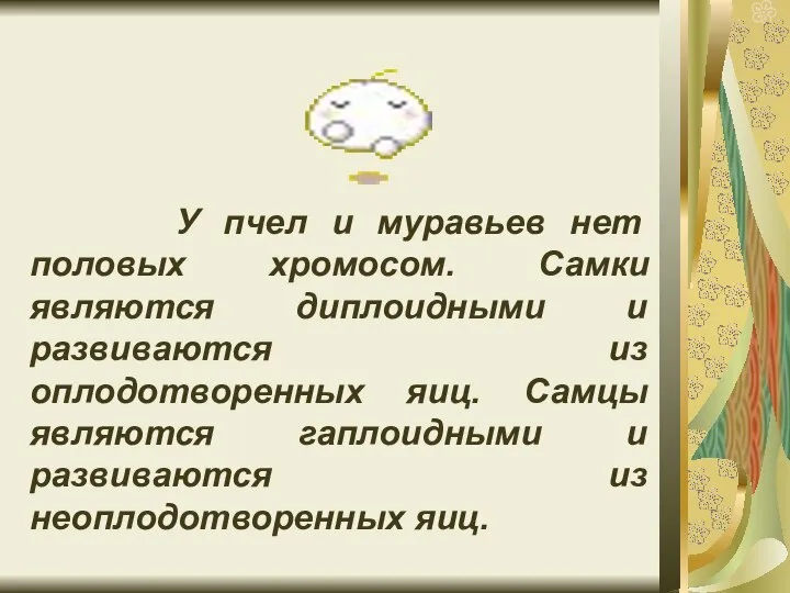 У пчел и муравьев нет половых хромосом. Самки являются диплоидными и