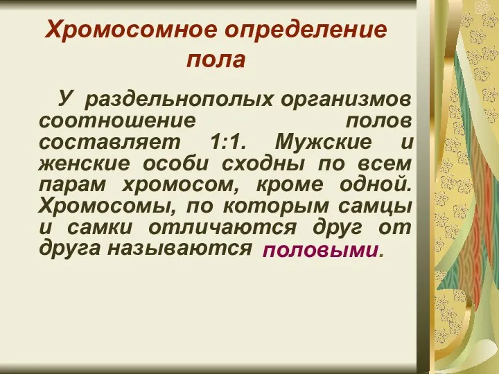 Хромосомное определение пола У раздельнополых организмов соотношение полов составляет 1:1. Мужские