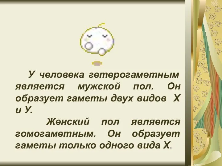 У человека гетерогаметным является мужской пол. Он образует гаметы двух видов