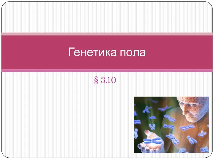 § 3.10 Генетика пола