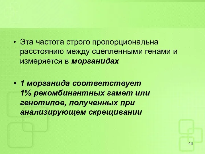 Эта частота строго пропорциональна расстоянию между сцепленными генами и измеряется в