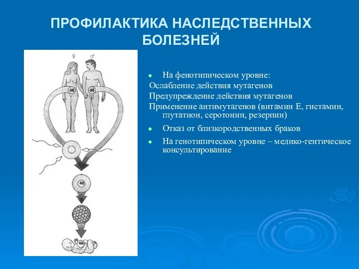 ПРОФИЛАКТИКА НАСЛЕДСТВЕННЫХ БОЛЕЗНЕЙ На фенотипическом уровне: Ослабление действия мутагенов Предупреждение действия