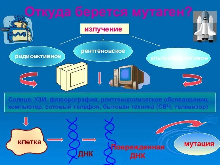 Откуда берется мутаген? излучение радиоактивное рентгеновское ультрафиолетовое Солнце, УЗИ, флюорография, рентгенологическое