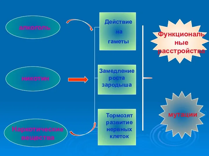 алкоголь никотин Наркотические вещества Действие на гаметы Замедление роста зародыша Тормозят