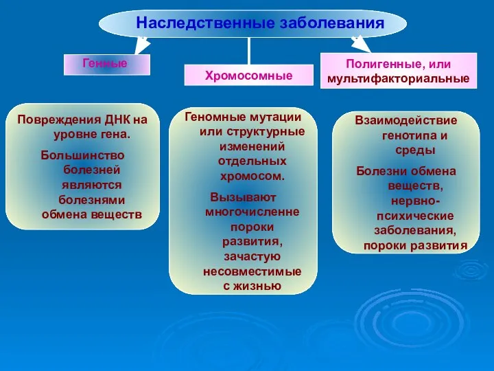 Наследственные заболевания Генные Полигенные, или мультифакториальные Взаимодействие генотипа и среды Болезни