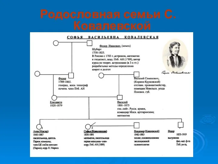 Родословная семьи С.Ковалевской