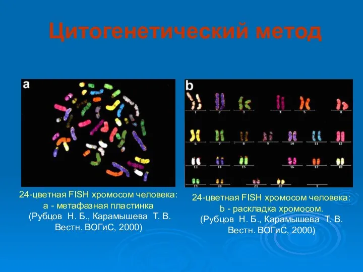 24-цветная FISH хромосом человека: a - метафазная пластинка (Рубцов Н. Б.,