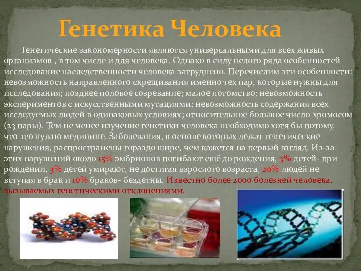 Генетика Человека Генетические закономерности являются универсальными для всех живых организмов ,