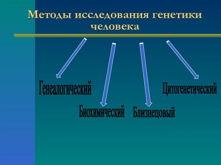 Методы исследования генетики человека Генеалогический Близнецовый Цитогенетический Биохимический