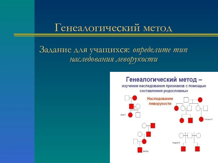 Генеалогический метод Задание для учащихся: определите тип наследования леворукости