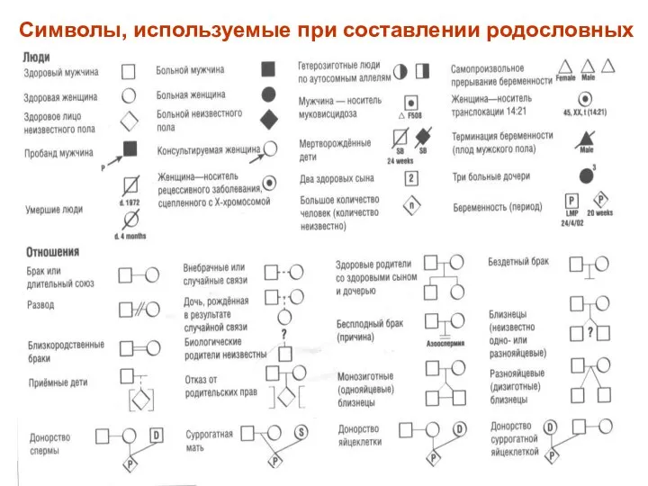 Символы, используемые при составлении родословных