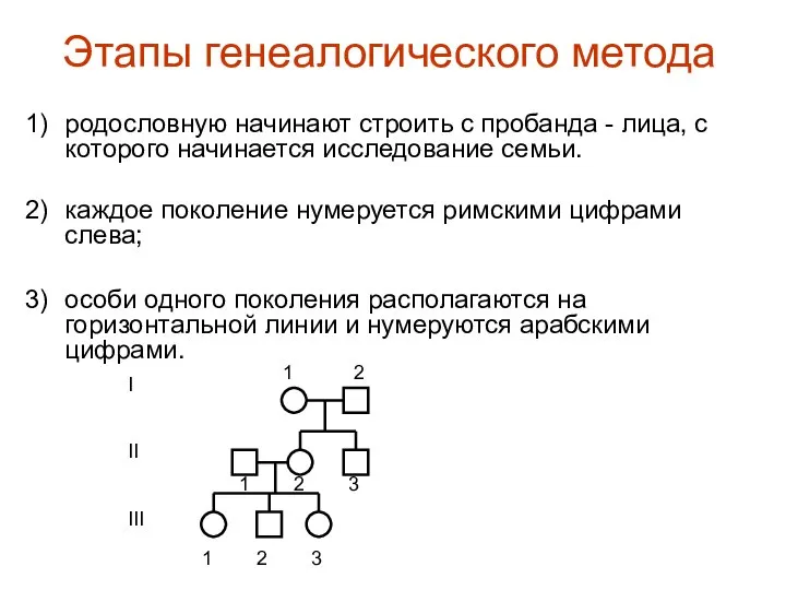 Этапы генеалогического метода родословную начинают строить с пробанда - лица, с