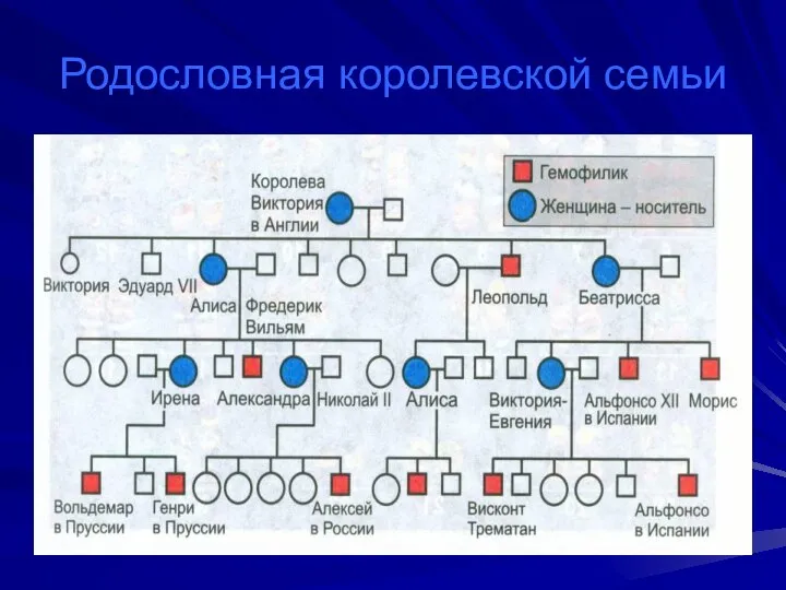 Родословная королевской семьи