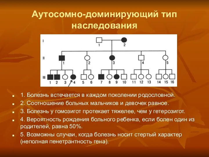 Аутосомно-доминирующий тип наследования 1. Болезнь встечается в каждом поколении родословной. 2.