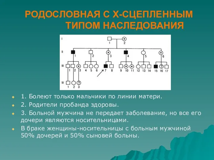 РОДОСЛОВНАЯ С Х-СЦЕПЛЕННЫМ ТИПОМ НАСЛЕДОВАНИЯ 1. Болеют только мальчики по линии