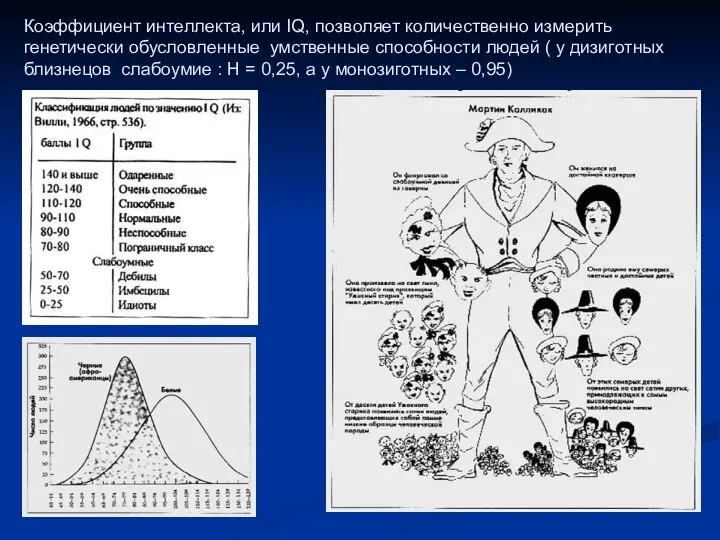 Коэффициент интеллекта, или IQ, позволяет количественно измерить генетически обусловленные умственные способности