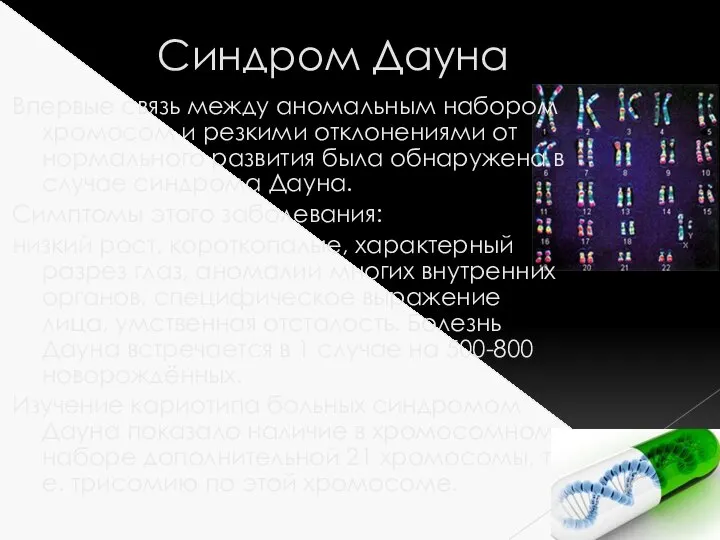 Синдром Дауна Впервые связь между аномальным набором хромосом и резкими отклонениями