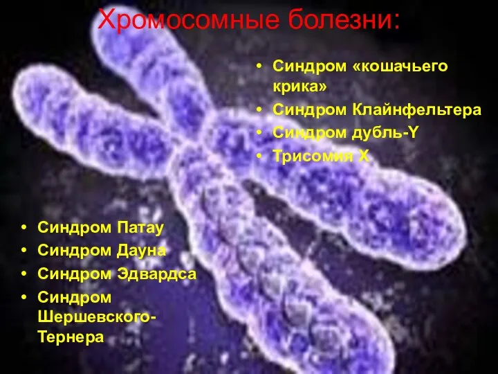 Хромосомные болезни: Синдром Патау Синдром Дауна Синдром Эдвардса Синдром Шершевского-Тернера Синдром